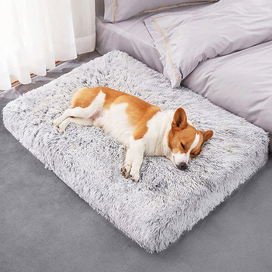 The Luxe Lounger